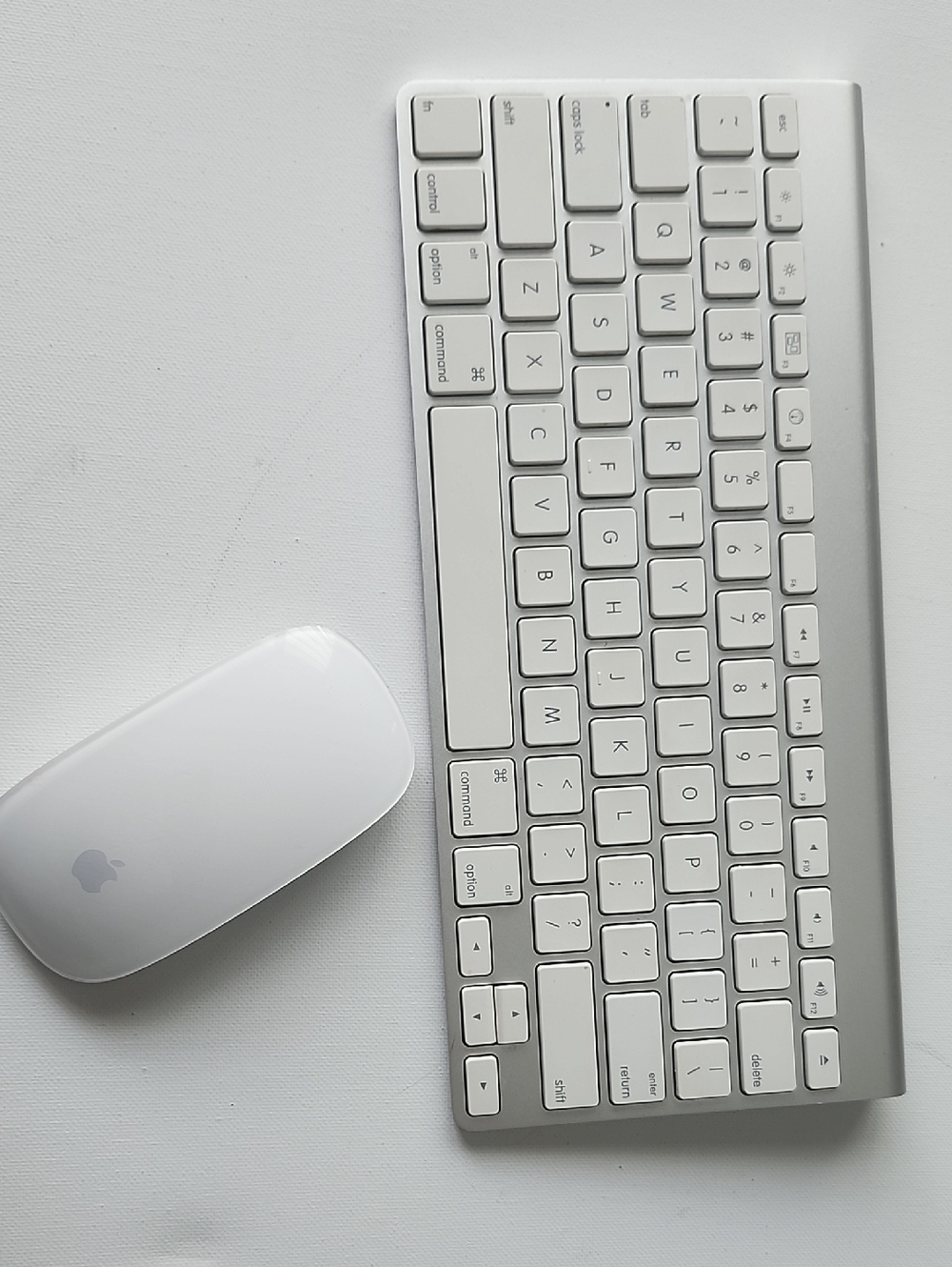 Bundle Apple A1314 Wireless Keyboard & A1296 Magic Mouse Bluetooth.